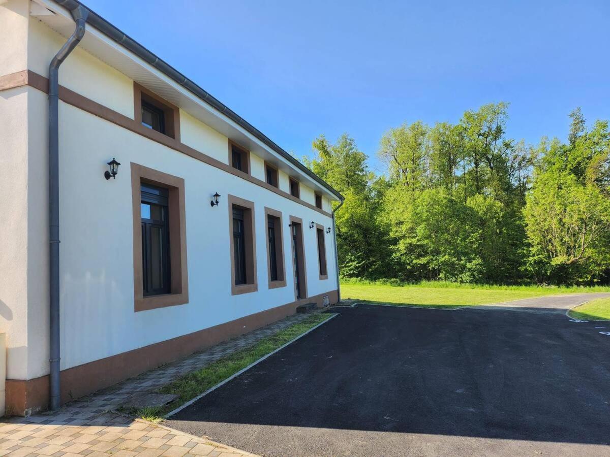 Apartment Loft Spacieux En Pleine Foret Bining